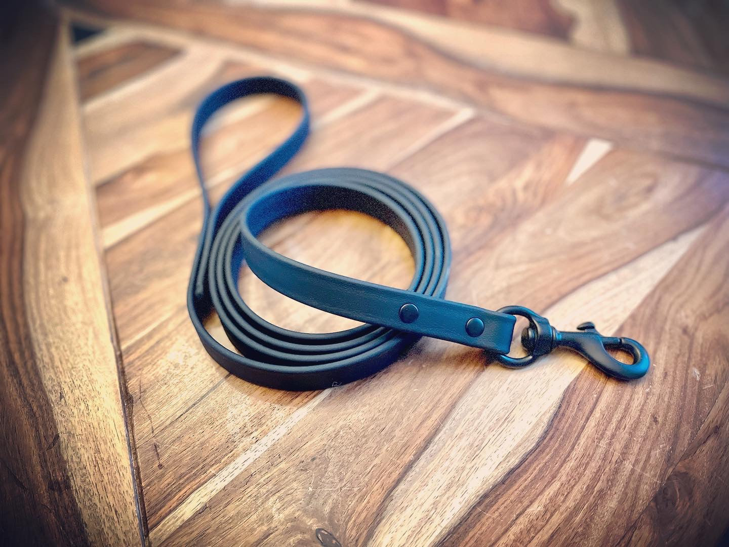 Heavy Duty Biothane Dog Leash