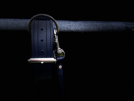 2" - 2 Ply BioThane Collar