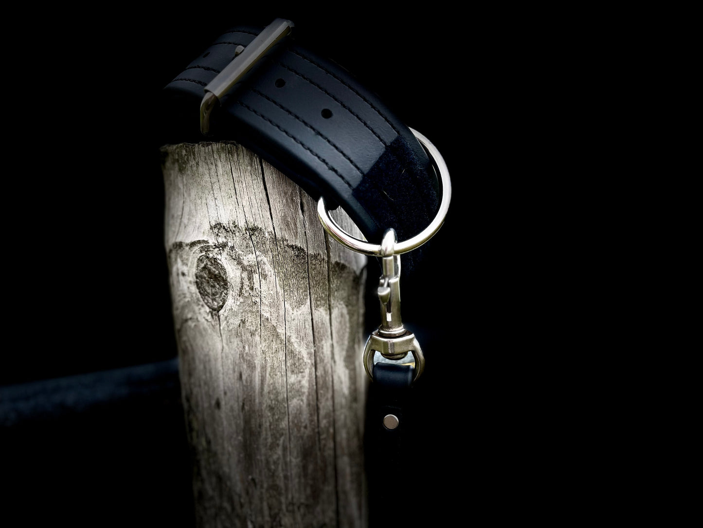 2" - 2 Ply BioThane Collar