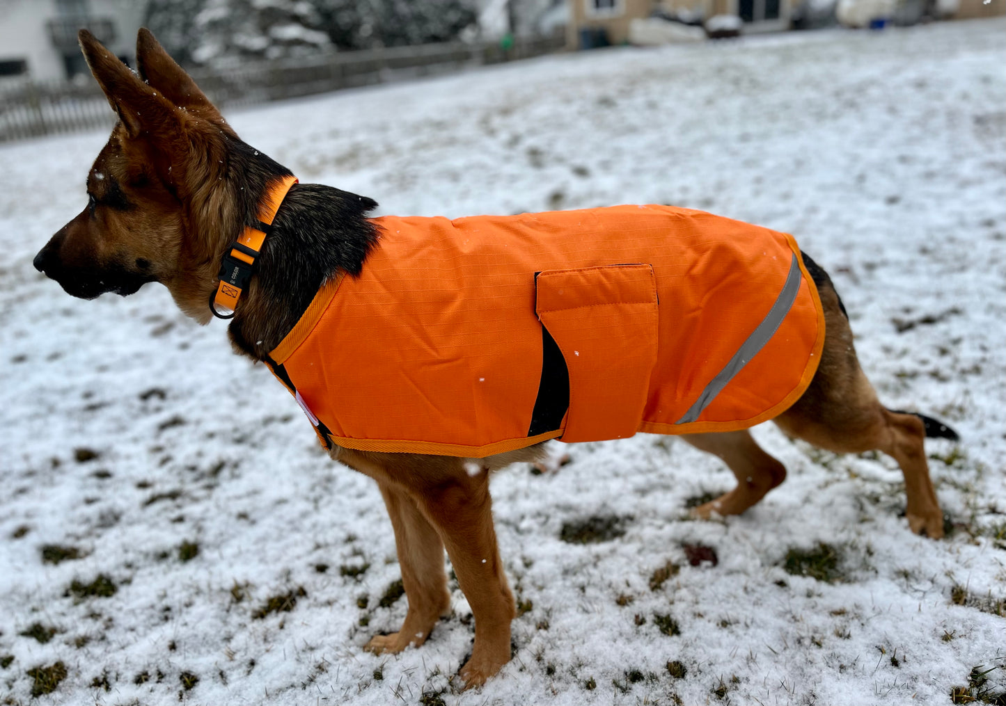 Waterproof & Breathable Dog Blanket
