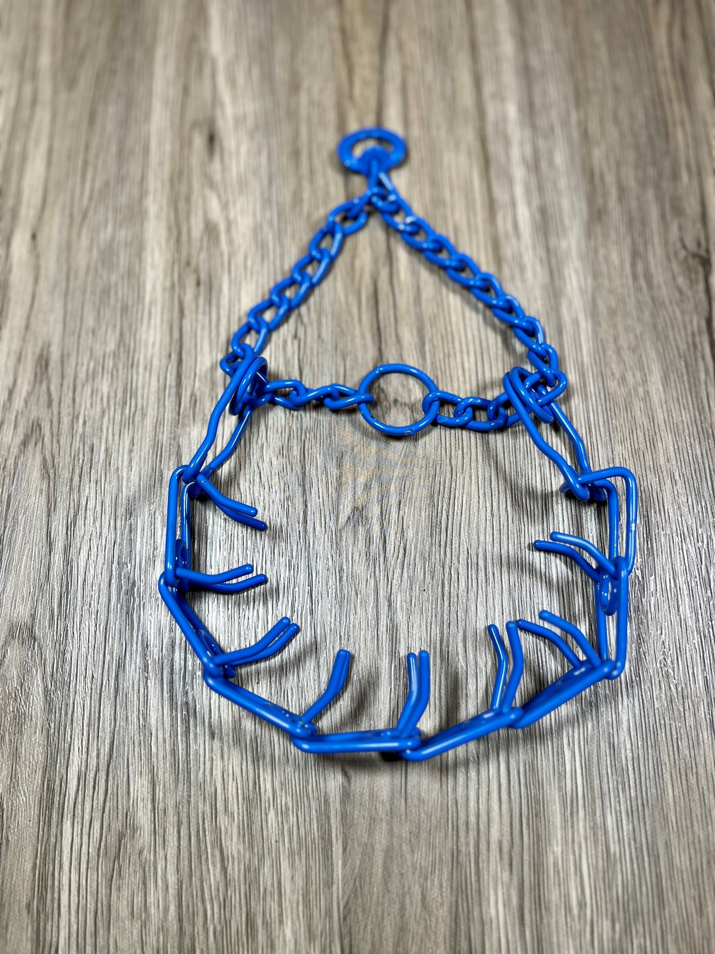 Quick Release Colored Training Collar