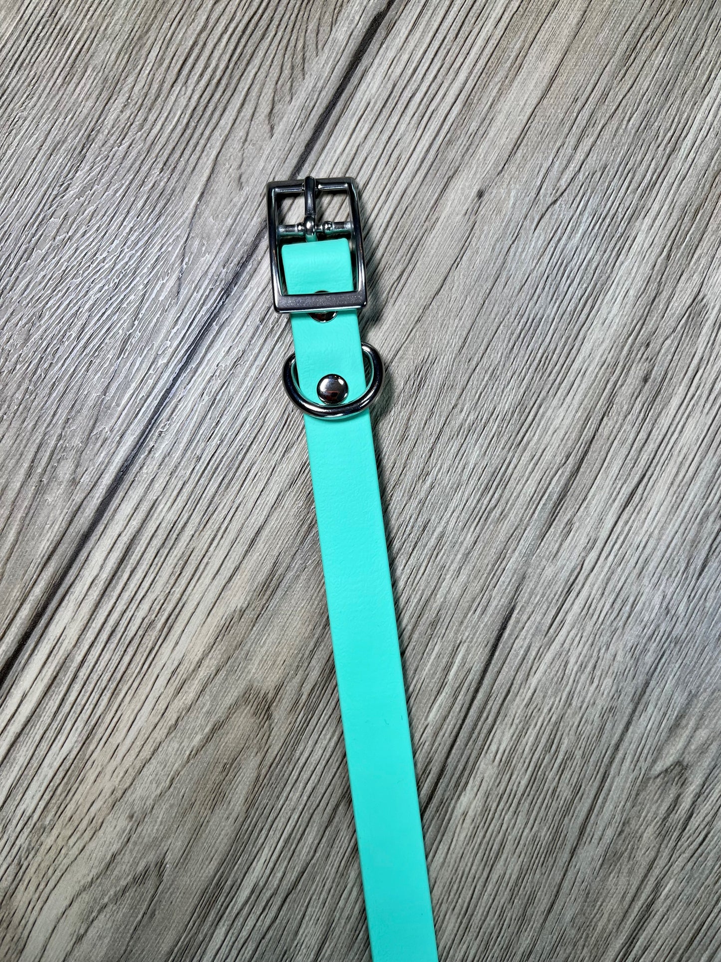 Standard Biothane Dog Collar