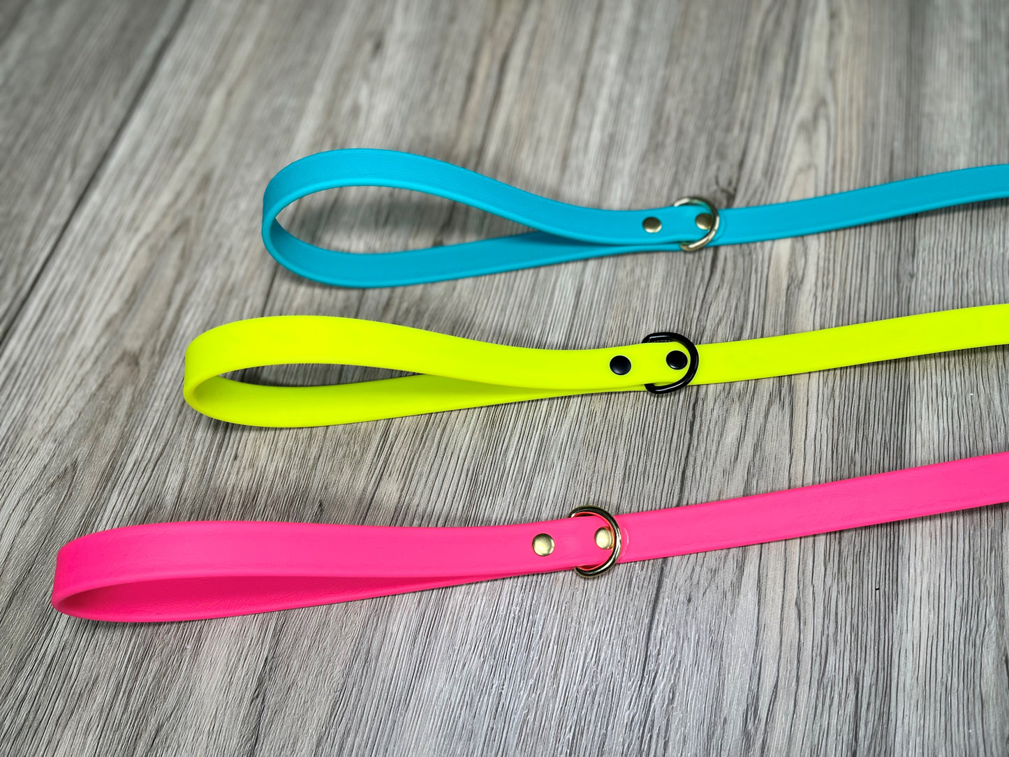 Standard Biothane Dog Leash