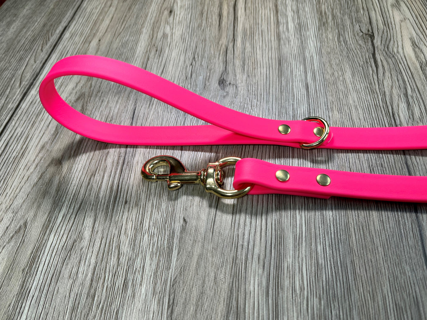 Standard Biothane Dog Leash