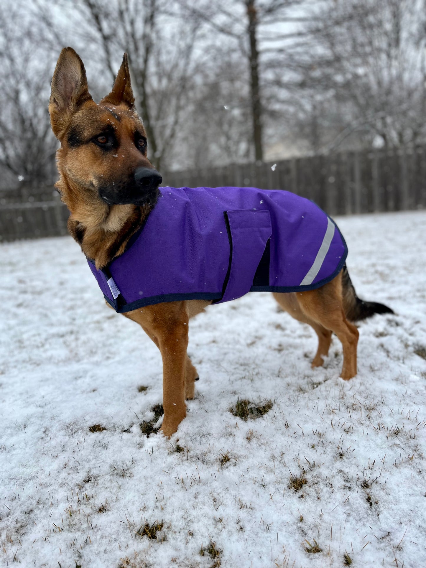Waterproof & Breathable Dog Blanket