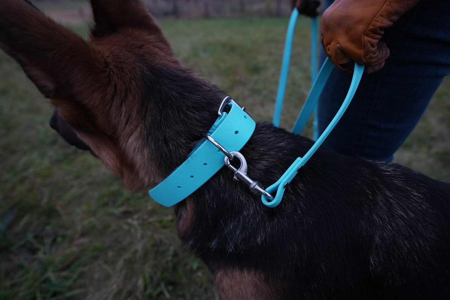 2" Heavy Duty Collar