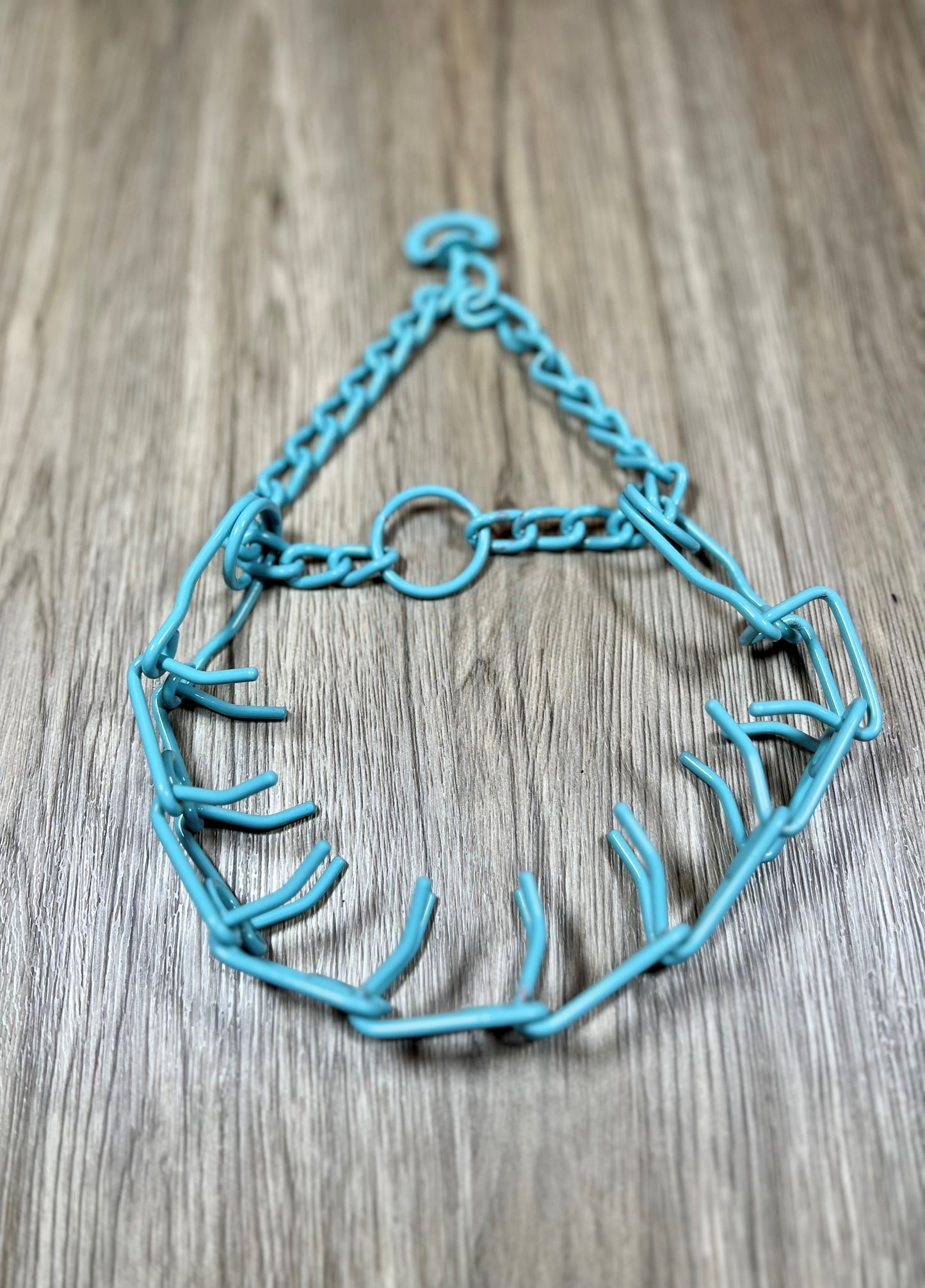 Quick Release Colored Training Collar