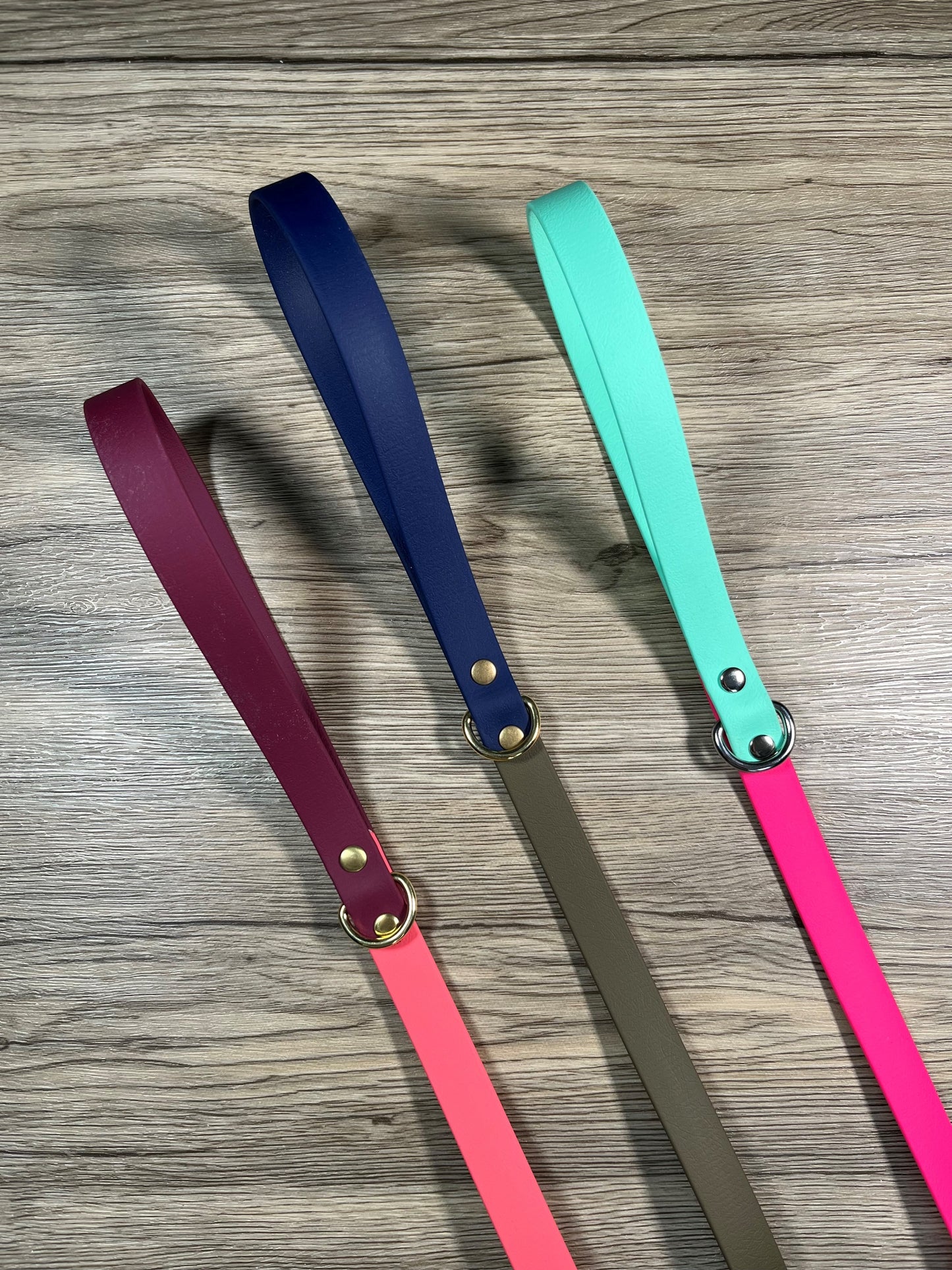 Two-Tone Standard Biothane Dog Leash