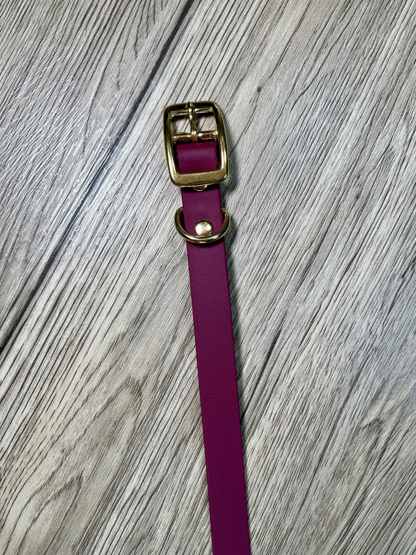 Standard Biothane Dog Collar