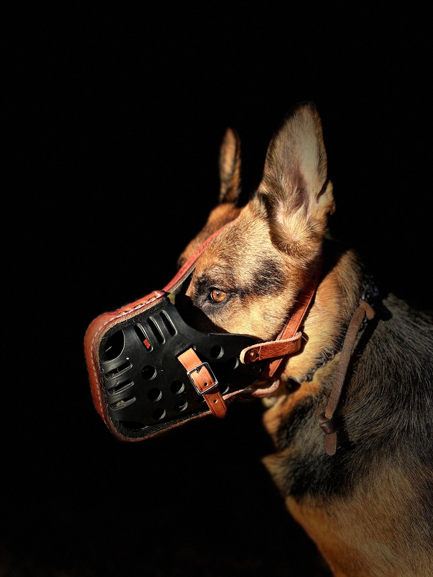 Harddog's Slammer™ Muzzle